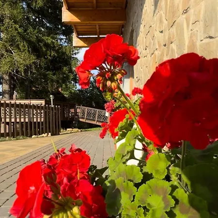 Królewna śnieżka Apartamento *