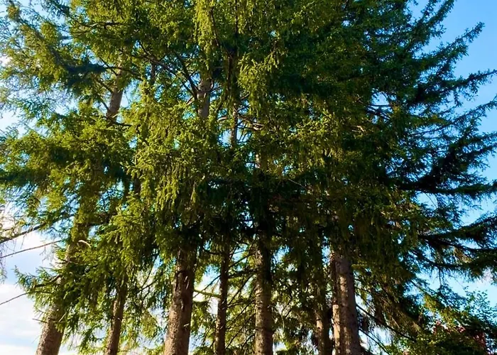 Apartament Królewna śnieżka