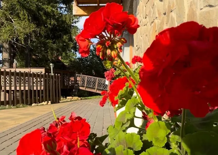 Królewna śnieżka Apartament *