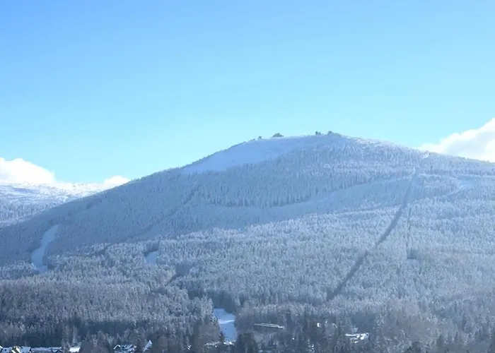 Królewna śnieżka *