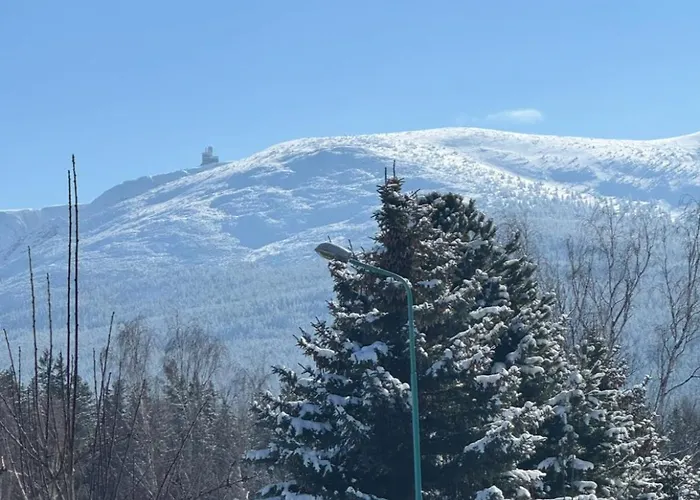 Królewna śnieżka *
