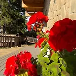 Krolewna Sniezka Апартаменты *